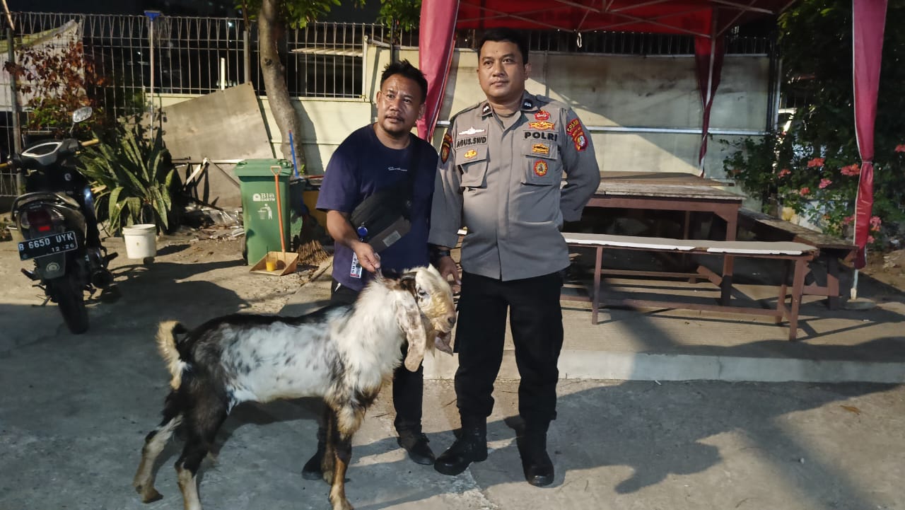 IMG-20230629-WA0256
