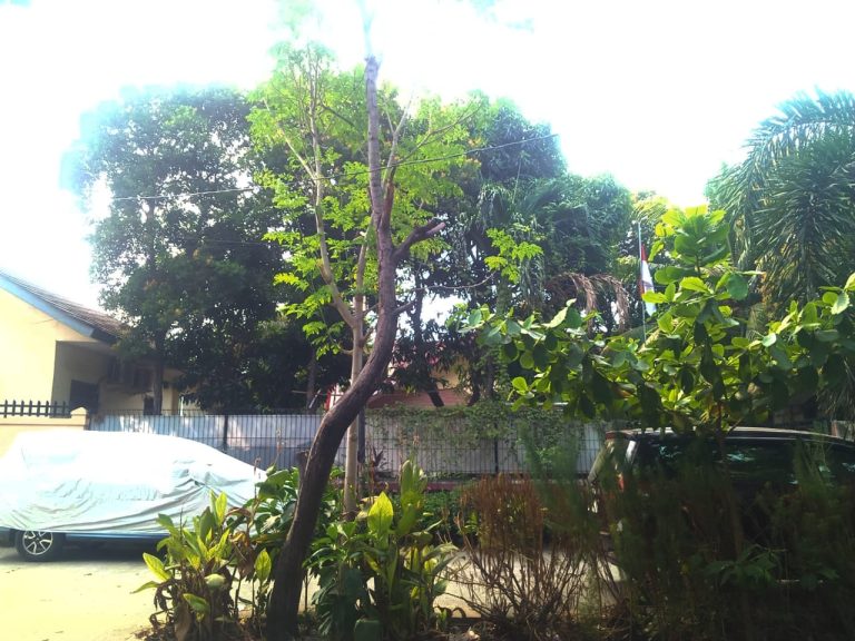 IMG-20230728-WA0001