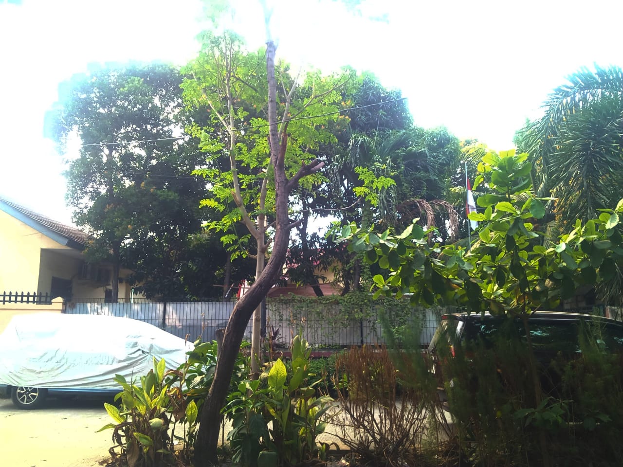 IMG-20230728-WA0001