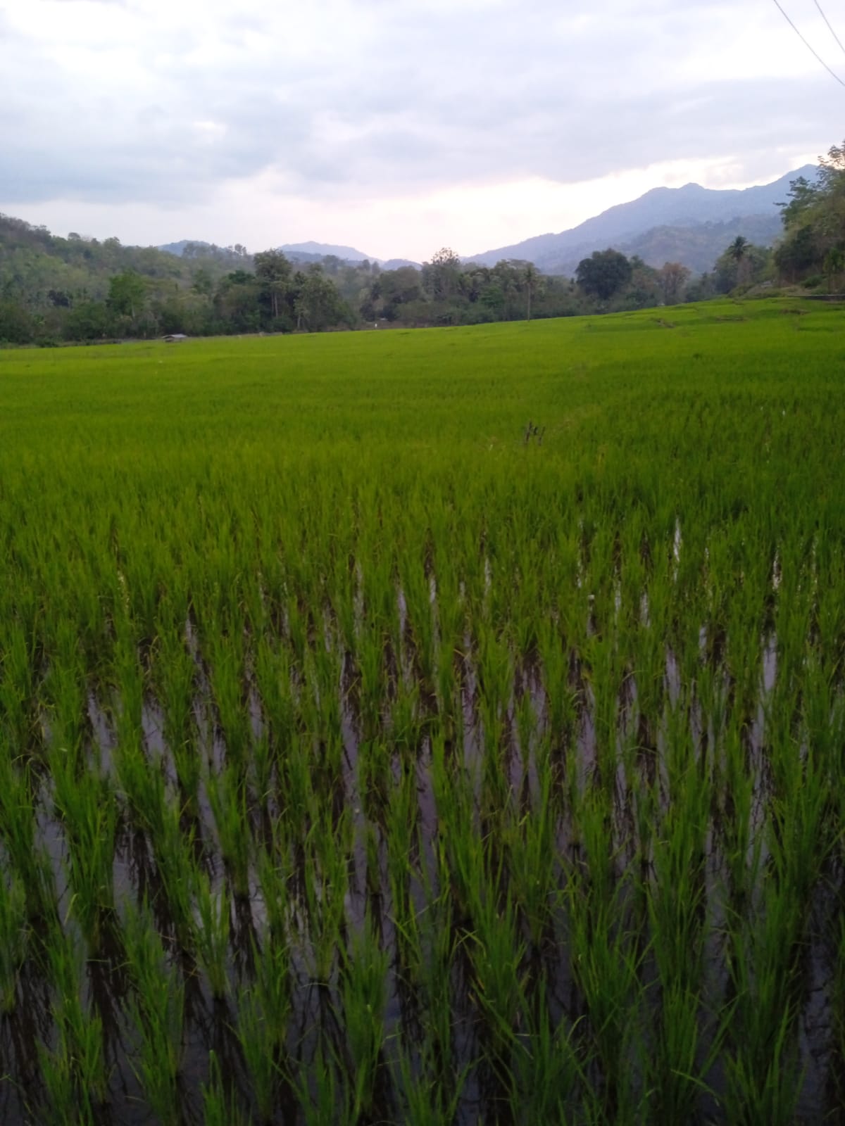 IMG-20230915-WA0071