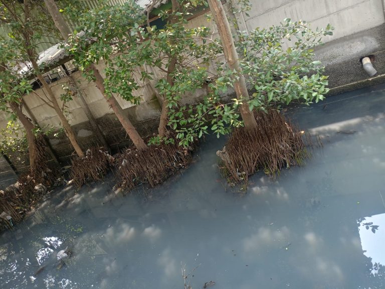 IMG-20240101-WA0029