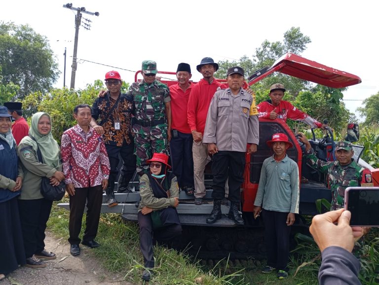 IMG-20241121-WA0009