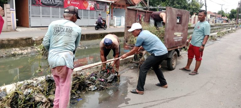 IMG-20251116-WA0009(1)