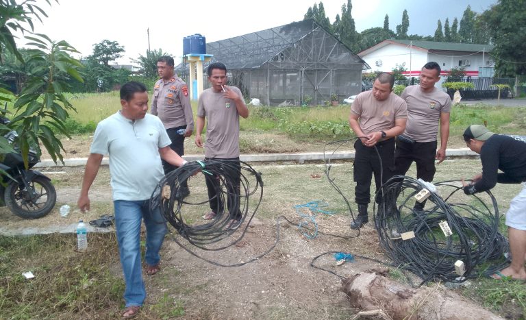 IMG-20260107-WA0055~2