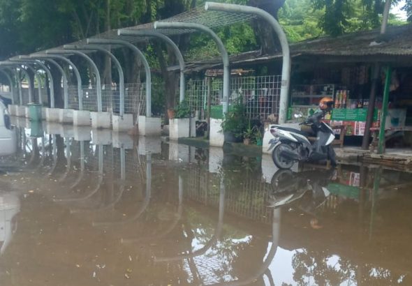 IMG-20260116-WA0052~2