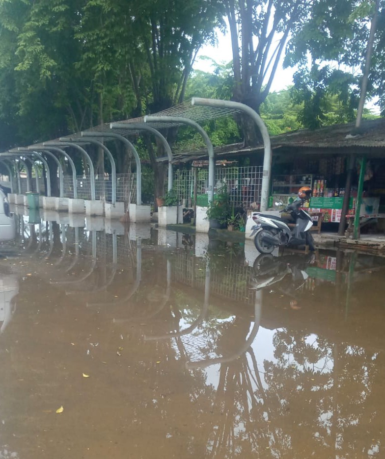 IMG-20260116-WA0052~2