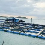 IMG-20260211-WA0014~2