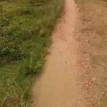 Screenshot_20260214-222524