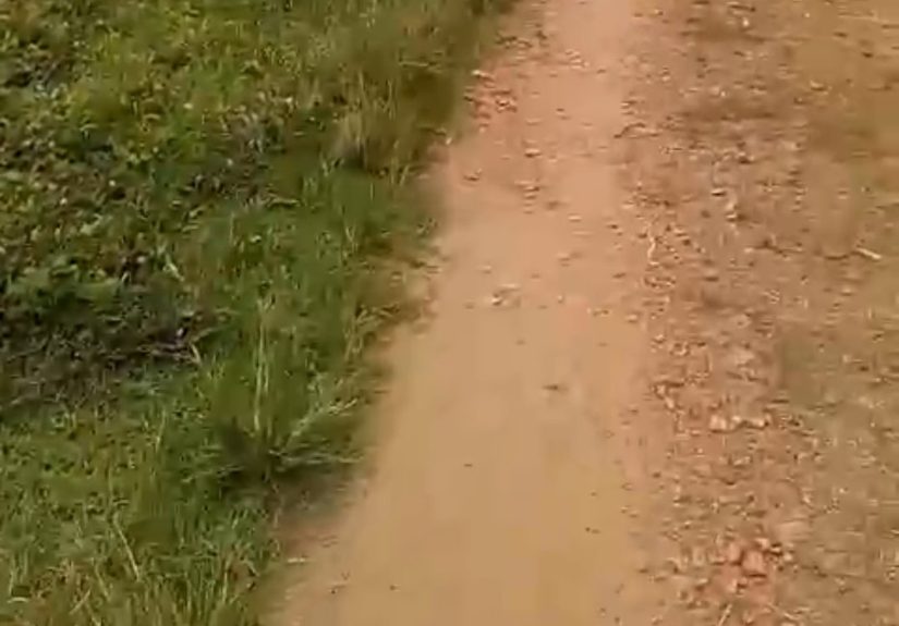 Screenshot_20260214-222524