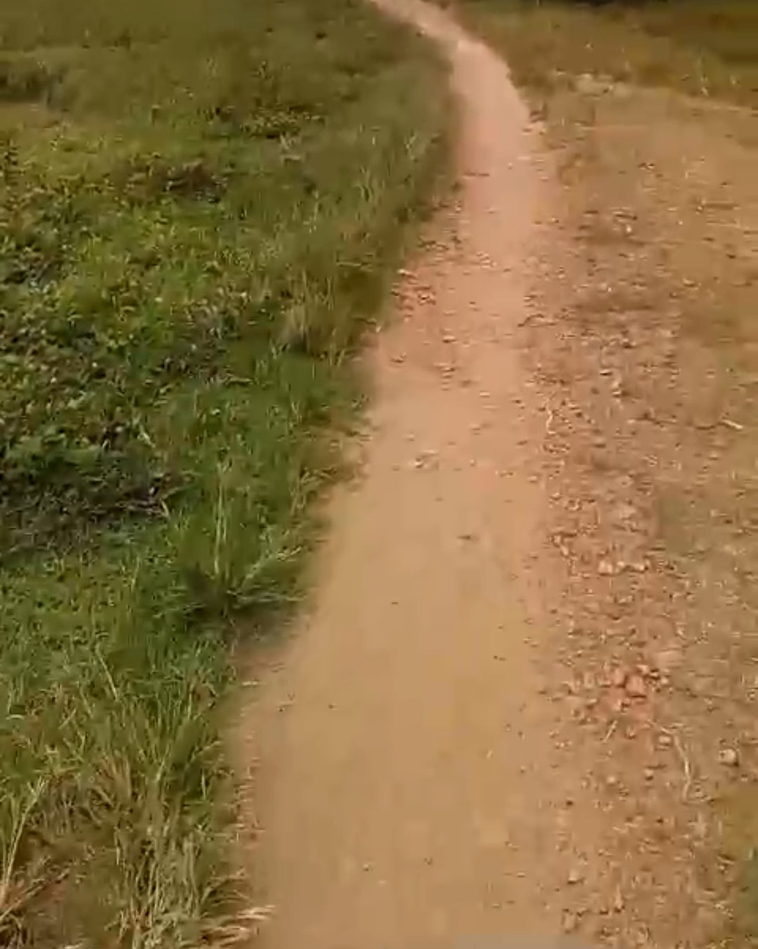 Screenshot_20260214-222524