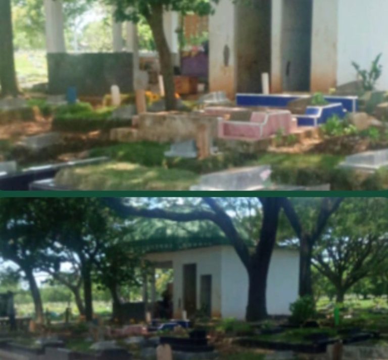 Screenshot_20260317-150309