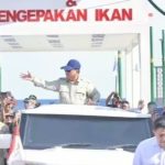 IMG-20260517-WA0041(1)